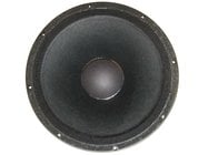 Peavey 15" Woofer