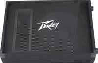 2-Way 15" Floor Monitor