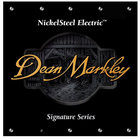 Light NickelSteel Signature Series Electric Guitar Strings