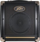 2-Ch 20W 1x8" Acoustic Guitar Amplifier