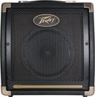 8" Acoustic Amplifier, 20W