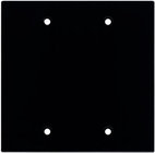 Ace Backstage WP200 Aluminum Wall Panel, Blank, 2 Gang, Black