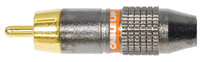 Male RCA Connector for Video