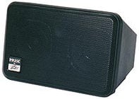 Personal Monitor with 2x 4.5" Drivers