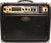 2-Ch 100W 1x10" Acoustic Guitar Amplifier