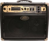 Ecoustic E110 2-Ch 100W 1x10&quot; Acoustic Guitar Amplifier