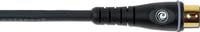 20' Custom Series MIDI Cable