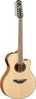 APX Series Guitar, 12 String