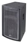 15" 2-Way Install Speaker