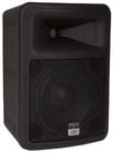 PA Enclosure with 10" Woofer
