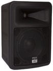 10" 2-Way Speaker, Black