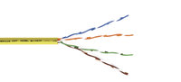 High-Performance Ultra Low Skew UTP (Unshielded Twisted Pair) Cable, 1300`