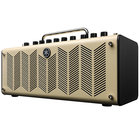 10W Electric Guitar Amplifier