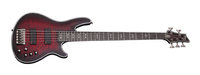 5 string Hellraiser Bass Guitar