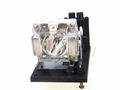 Replacement Lamp for D8300 Projector