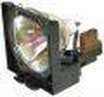 Replacement Lamp for the D5000 projector