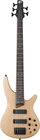 SR Series 5-String Electric Bass