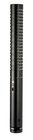 Shotgun Microphone