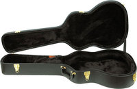 Hardshell Acoustic Guitar Case for AEG Guitars