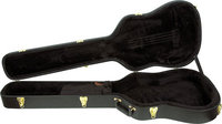 AEB Bass Guitar Case