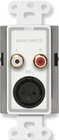 Mic (XLR)/Line (RCA) Wall Plate Audio Input Assembly