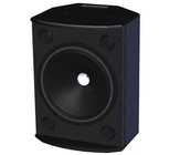 12" Powered Speaker