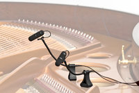 d:vote 4099-P Supercardioid Stereo Microphone Pair for Piano
