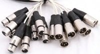 100 ft. 24-Channel XLR-M to XLR-F Studio Patch Snake