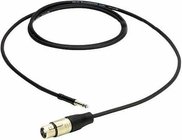 5 ft. Excellines TT to XLR-F Patch Cable