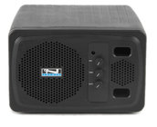 Powered Speaker Monitor in Black