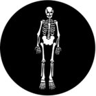 Steel Gobo, Skeleton