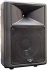 12" 2-way Plastic Molded Speaker Cabinet