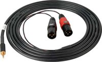 3.5mm to 2 XLR Male Y Cable, 10ft