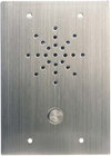 Wall Plate Speaker with Switch, Dual-Gang, Vandal-Resistant