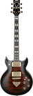 Artists Series Electric Guitar, Dark Brown Sunburst