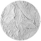 Light Plume Image Glass Gobo