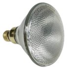 120V/250W Q250 Par 38 Flood Lamp