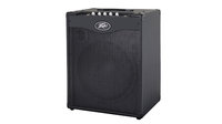 300W 1x15" Bass Combo Amplifier with DDT Speaker Protection
