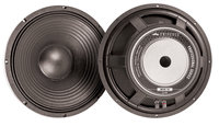 15" Woofer