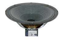 10" Guitar Speaker