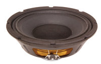 10" Bass Speaker