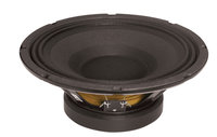 10" Bass Guitar Speaker