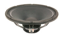 15" Speaker