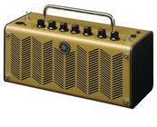 10W 2x8" Modeling Guitar Amplifier Head for Acoustic/Electric & Silent Guitars
