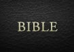 EasyWorship Bible - English (NIV) Software, Bible Version add-ons for Easy Worship, English and Anglicized versions