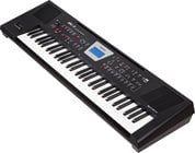 61-Key Arranger Keyboard