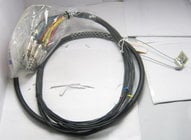 6 ft. RoadMASTER 16-Channel Multipair Audio Snake with Blunt Cut End and 16x 1/4" Return Fan