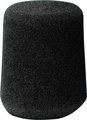 Foam windscreen (gray)