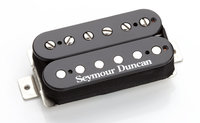 Duncan Distortion Trembucker