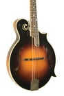 The Loar LM-600-VS Professional Series Gloss Vintage Sunburst F-Style Mandolin with Hand-Carved Top